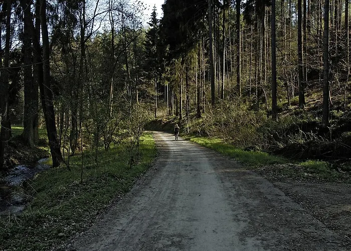 Hammermuehle Stadtroda