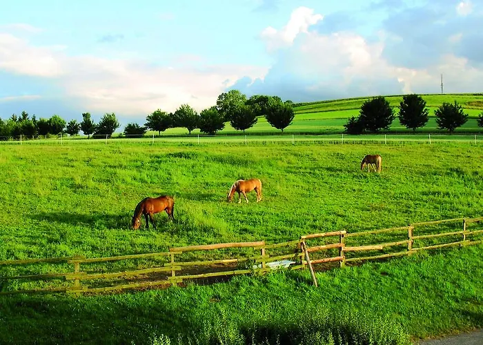 Hammermuehle Otel Stadtroda